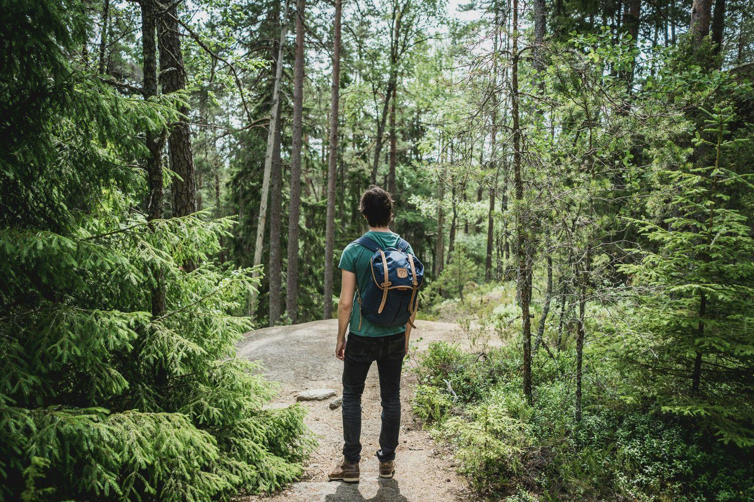 Junger Mann, der im Wald wandert, um Stress zu reduzieren
